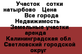 Участок 33сотки натырбово › Цена ­ 50 000 - Все города Недвижимость » Земельные участки аренда   . Калининградская обл.,Светловский городской округ 